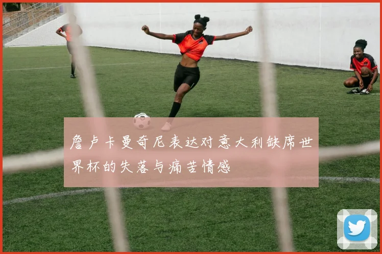 詹卢卡曼奇尼表达对意大利缺席世界杯的失落与痛苦情感
