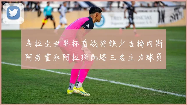 乌拉圭世界杯首战将缺少吉梅内斯阿劳霍和阿拉斯凯塔三名主力球员
